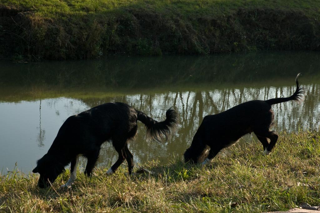 dsc_0095.jpg