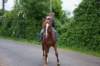 dsc_0183_small.jpg