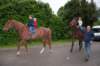 dsc_0194_small.jpg