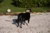 dsc_0004_small.jpg