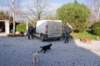 dsc_0008_small.jpg