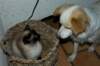 dsc_0017_small.jpg