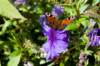 dsc_00063_small.jpg