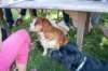 dsc_0316_small.jpg