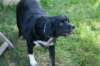 dsc_0319_small.jpg