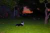 dsc_0667_small.jpg