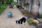 dsc_0028_small.jpg