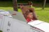 dsc_0076_small.jpg
