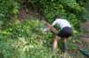 dsc_0332_small.jpg