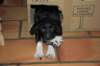 bwdsc_012901_small.jpg