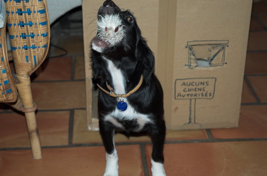 bwdsc_013001.jpg