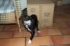 bwdsc_013101_small.jpg