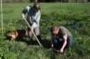 bwdsc_012901_small.jpg