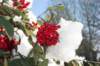 bwdsc_000401_small.jpg