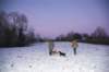 bwdsc_004301_small.jpg
