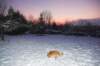 bwdsc_006901_small.jpg
