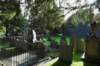 bwdsc_025401_small.jpg