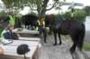 bwdsc_026601_small.jpg