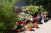 dsc_0682_small.jpg