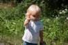 dsc_0729_small.jpg