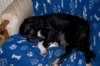 dsc_0001_small.jpg
