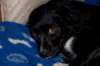 dsc_0002_small.jpg