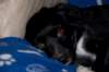 dsc_0003_small.jpg