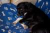 dsc_0004_small.jpg