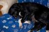 dsc_0005_small.jpg
