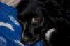 dsc_0006_small.jpg