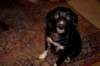 dsc_0007_small.jpg