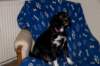 dsc_0009_small.jpg