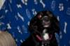 dsc_0010_small.jpg