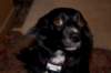 dsc_0014_small.jpg