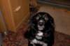 dsc_0016_small.jpg