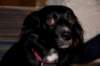 dsc_0018_small.jpg