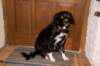 dsc_0019_small.jpg