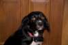 dsc_0020_small.jpg
