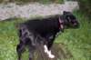 dsc_0022_small.jpg