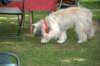dsc_0186_small.jpg