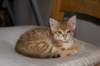 dsc_0036_small.jpg