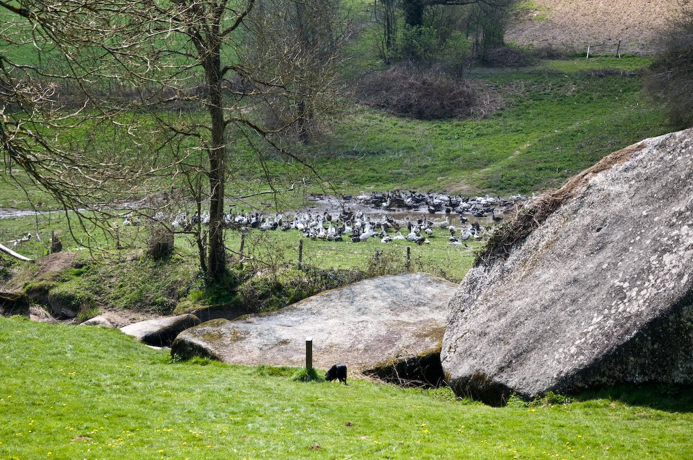 dsc_0014.jpg