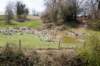 dsc_0018_small.jpg