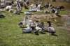 dsc_0020_small.jpg
