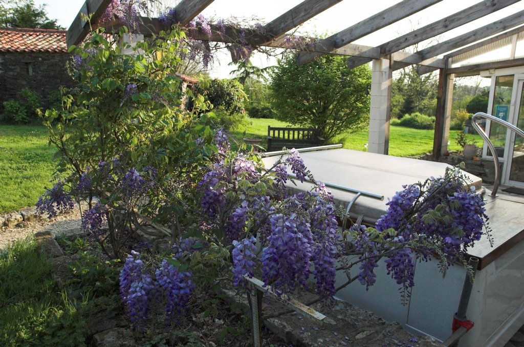 bwdsc_0109201.jpg