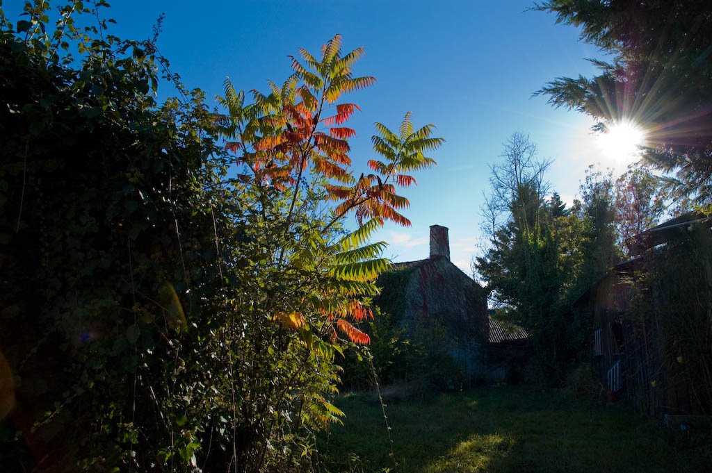 dsc_00101.jpg