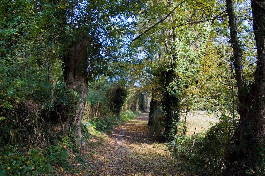 dsc_00251.jpg