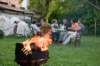 dsc_0036_small.jpg