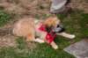 dsc_0034_small.jpg