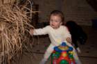 dsc_0082_small.jpg